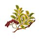 Винтаж: Брошь Рябина/Mountain Ash, Exquisite,Англия,винтаж. Броши винтажные. Английский дворик. Ярмарка Мастеров.  Фото №10