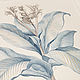 Order Botanical watercolor. Belasla. Livemaster. . Pictures Фото №3