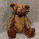   Мишка с ревуном. Мишки Тедди. Ручные мишки Тедди (tamedteddybears). Ярмарка Мастеров.  Фото №7