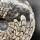 ПЛГ137.Аммонит-цератит,Arctoceras septentrionale, Камни, Краснодар,  Фото №1