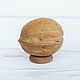 Souvenir miniature ' Turtle in a nutshell'. Figurine. Katy_Barysheva. My Livemaster. Фото №6