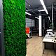 Фитостена из стабилизированного мха и растений. Фитокартины. Nature Walls|Вертикальное озеленение. Ярмарка Мастеров.  Фото №5