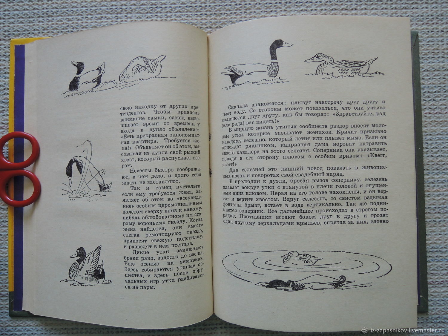 Акимушкин следы невиданных зверей читать. Акимушкин с утра до вечера. Акимушкин книги. Следы невиданных зверей Акимушкин читать. Следы невиданных зверей Акимушкин картинки.