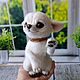 Заказать Собачка, игрушка ручной работы, Чихуахуа. Шерстинка(валяные игрушки, картины, вязаные подушки, гобелены).. Ярмарка Мастеров. . Войлочная игрушка Фото №3