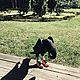 Из спортивного образа жизни у меня есть кроссовки...ну и хорош !. Войлочная игрушка. Светлана. Ярмарка Мастеров.  Фото №7