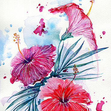 Hibiscus and hummingbird. Гибискус и колибри. PNG.