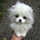 Puppy Spitz Cloud. Stuffed Toys. VaKulina (Valentina) Teddy Bear. My Livemaster. Фото №4