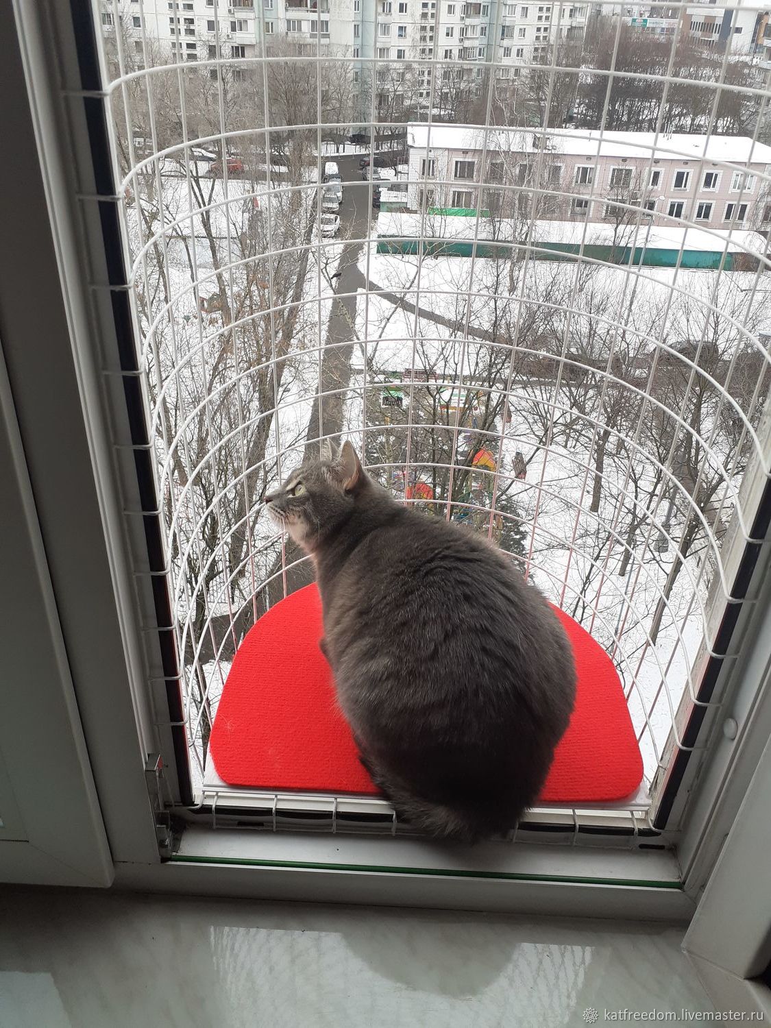 Антикошка на балкон. Клетка антикошка. Клетка антикошка для кошек на окно. Кошачий балкон антикошка. Балкон-антикошка katfreedom..