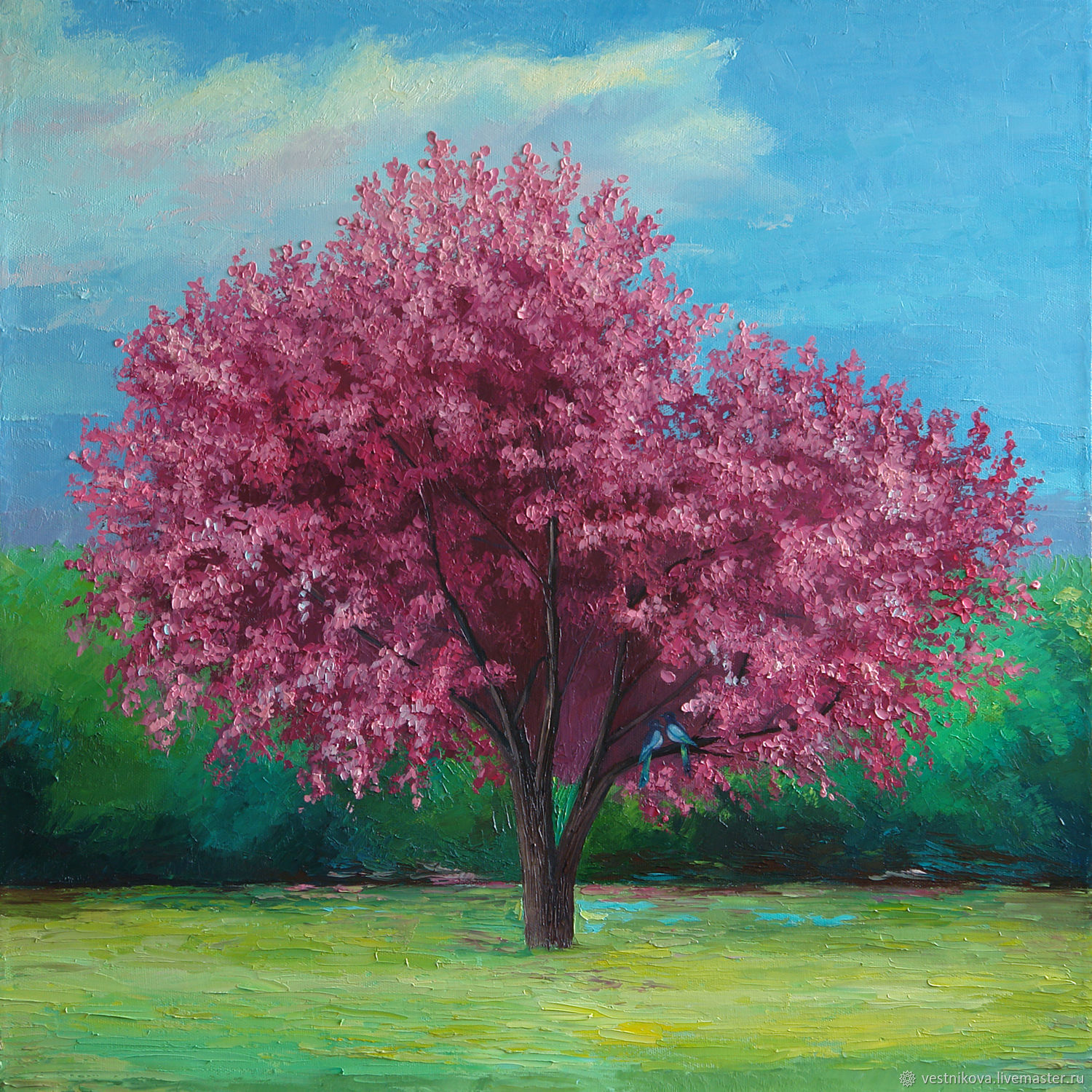    1601484e36386d1f8b5d59b0e6ix  Oil Painting Cherry Blossoms Oil Canvas On Cardboard 50h50 