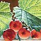 Картина маслом "Красная смородина в солнечный день". Картины. Realism-painting. Ярмарка Мастеров.  Фото №4