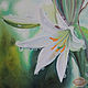 "In the morning dew" oil Painting. Pictures. Kind paintings by Irina Belozerova. Online shopping on My Livemaster.  Фото №2