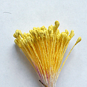 Силиконовый молд(вайнер) цветочка , двустронний