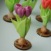Сувениры и подарки handmade. Livemaster - original item Gifts for March 8: Miniature tulips. Handmade.
