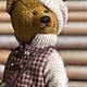 Мишка Тедди ручная работа. Игрушки. Ольга(Teddy Bear BOS). Ярмарка Мастеров.  Фото №6