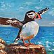 Painting Bird Atlantic Puffin Painting sea bird, Pictures, Moscow,  Фото №1