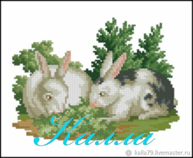 Маточник для кроликов: размеры, чертежи, разновидности