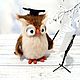 Owl - music teacher. Stuffed Toys. JuliaCrochetToys. Online shopping on My Livemaster.  Фото №2