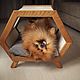 Bed, dog house Eco Progect Wood. Pet House. mebelzhivotnih (teddyroommebel). My Livemaster. Фото №6