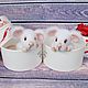 Mouse Rafaella. Stuffed Toys. Favorite toys from Kafetina. My Livemaster. Фото №6