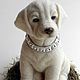 Labrador dog LORD. Stuffed Toys. ZOYA KHOLINA. My Livemaster. Фото №4
