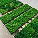 Панно из стабилизированного мха 120*30см. Фитокартины. Green.Box. Интернет-магазин Ярмарка Мастеров.  Фото №2