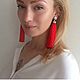 Clip brushes 'Anita', Tassel earrings, St. Petersburg,  Фото №1