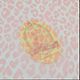 Органза шелковая  розовый леопард Dsquared2. Ткани. Ткани от  МОДНЫХ ВМЕСТЕ. Интернет-магазин Ярмарка Мастеров.  Фото №2