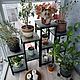 Подставка/этажерка под цветы. Подставки. Мебель на заказ U.LOFT. Интернет-магазин Ярмарка Мастеров.  Фото №2