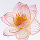 Pink lotus comb, Comb, Cheboksary,  Фото №1