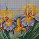 Set for embroidery with beads of 'Yellow Irises', Embroidery kits, Ufa,  Фото №1