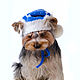 Вязаная шапка для собаки "Снежинка", Одежда для питомцев, Пенза,  Фото №1