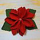 poinsettia, Christmas star,Christmas, new year, flower, knitted flower, a flower made of yarn, Christmas, decoration.
