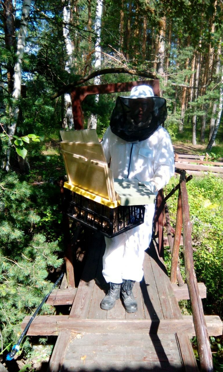 Мой профиль