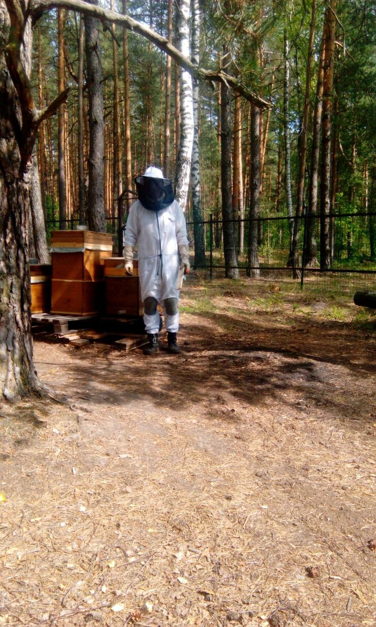 Мой профиль