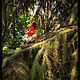  Домовой гном. Кукла-оберег. Voodoo Forest. Ярмарка Мастеров.  Фото №4