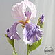 Iris de arcilla polimérica. Flowers. Marina Zhadan. Интернет-магазин Ярмарка Мастеров.  Фото №2