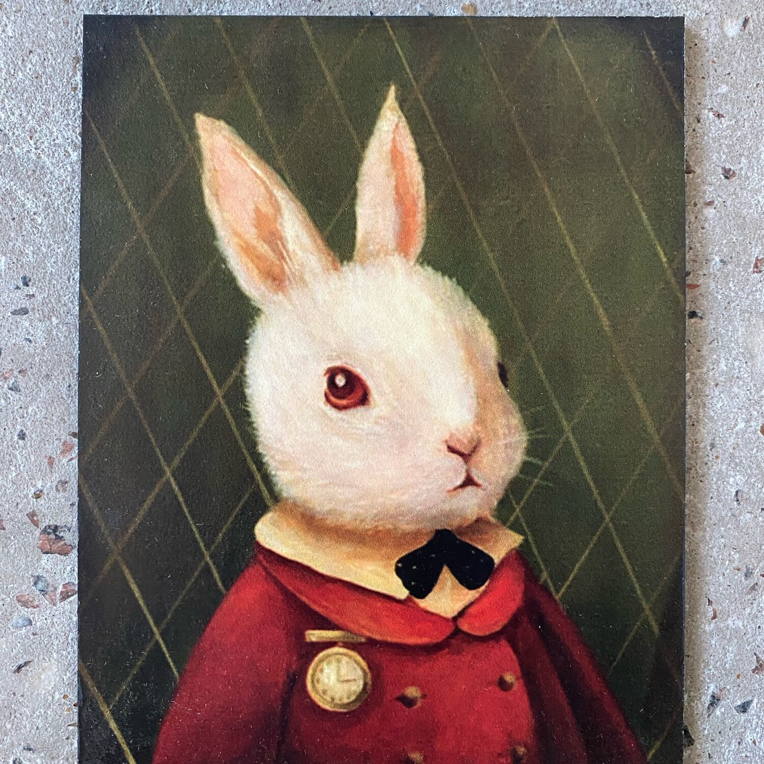 Портрет зайчика. Кролик арт. Алиса зайчик арт. Кролик в искусстве. Заяц в костюме арт.