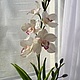 Орхидея Цимбидиум из полимерной глины, Цветы, Волгоград,  Фото №1