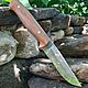 Knife 'Asp' Zlatoust. Gifts for hunters and fishers. wow-zlat-gifts (wow-zlat-gifts). Online shopping on My Livemaster.  Фото №2