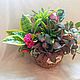 Order Mini garden of artificial flowers in a basket. TaLanaLita (goodshop39). Livemaster. . Composition Фото №3