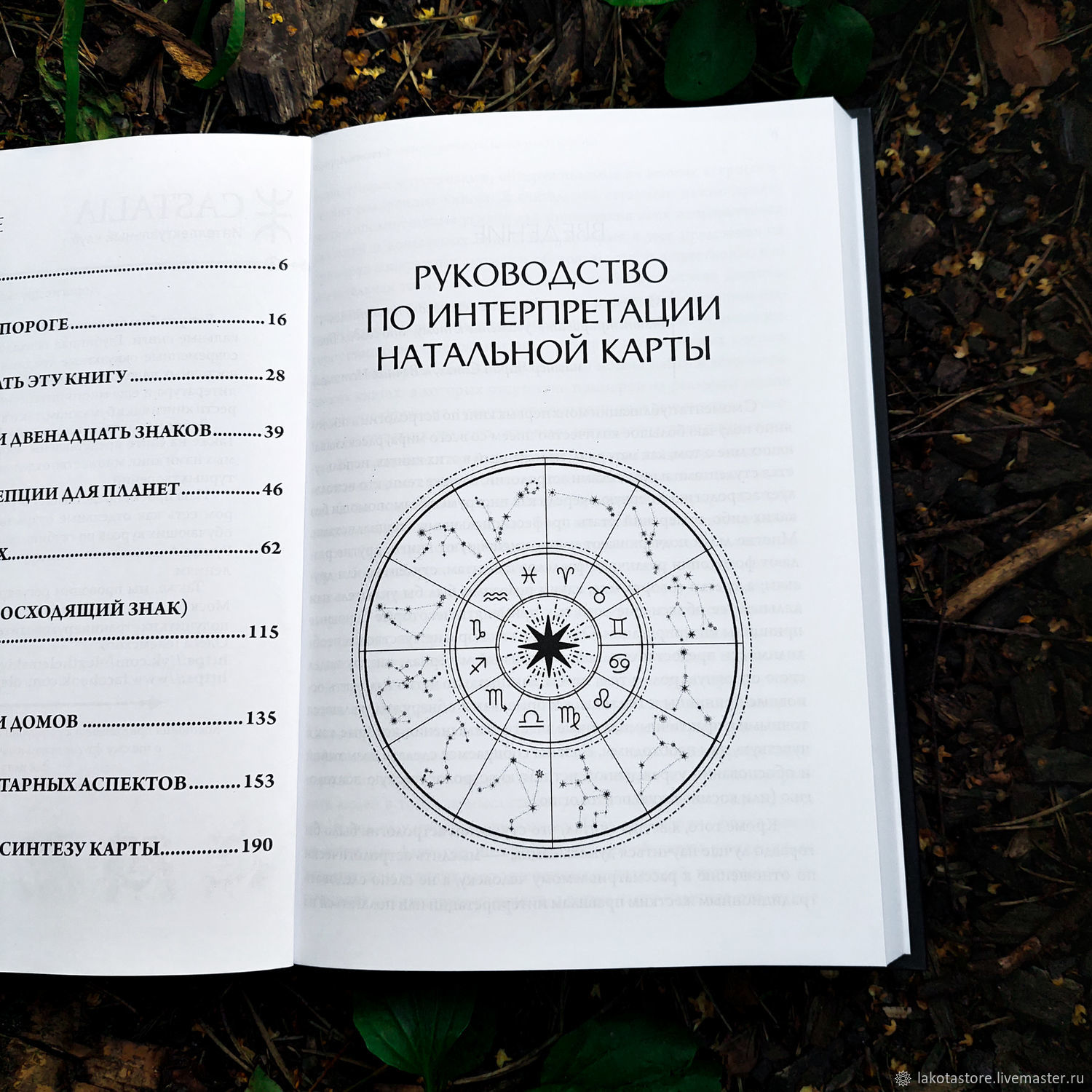 Винтаж: Руководство по интерпретации натальной карты | Стивен Арройо купить  в интернет-магазине Ярмарка Мастеров по цене 2000 ₽ – TKXIORU | Книги  винтажные, Москва - доставка по России