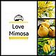 Духи Люблю Мимозу в стиле Amouage — Love Mimosa w, Духи, Москва,  Фото №1