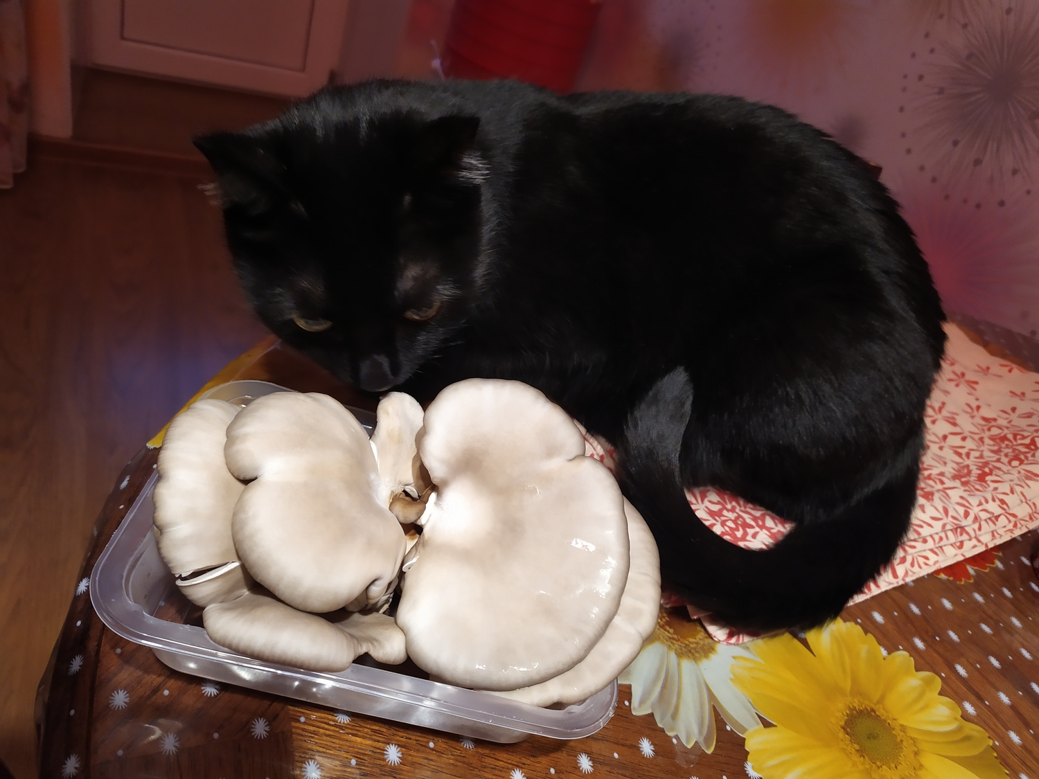 Мой профиль