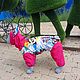 Для басенджи девочки. Утепленный комбинезон. Одежда для питомцев. Зооателье 'Веселый хвост'. Ярмарка Мастеров.  Фото №4