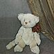  Котик Пушок. Тедди Зверята. Ручные мишки Тедди (tamedteddybears). Ярмарка Мастеров.  Фото №9