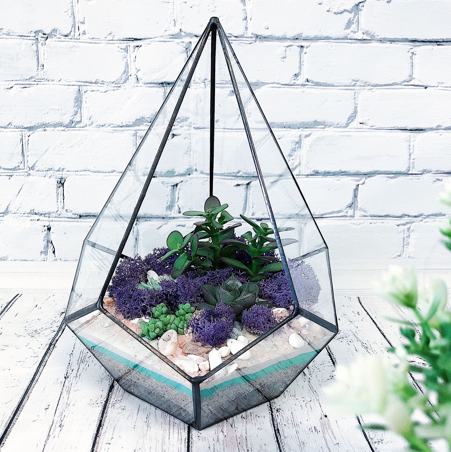 Флорариум Купить В Москве