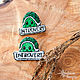 Introvert turtle pin, cute turtle badge, Badge, Moscow,  Фото №1