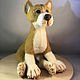 felt toy: dog. Felted Toy. colorlight (colorlight). Online shopping on My Livemaster.  Фото №2