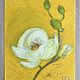 Oil pastel painting with a white magnolia flower 'Southern' 297h420 mm. Pictures. chuvstvo-pozitiva (chuvstvo-pozitiva). My Livemaster. Фото №6