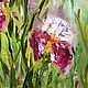 Oil painting Irises red. Pictures. sharaeva-elena. My Livemaster. Фото №4